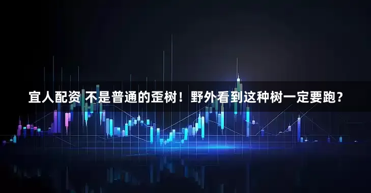 宜人配资 不是普通的歪树！野外看到这种树一定要跑？